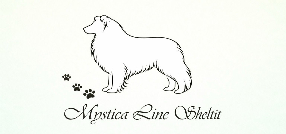 UUSI etusivu 30.1.2026.jpeg