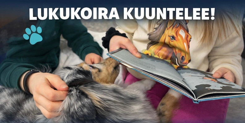 Lukukoira3.jpeg